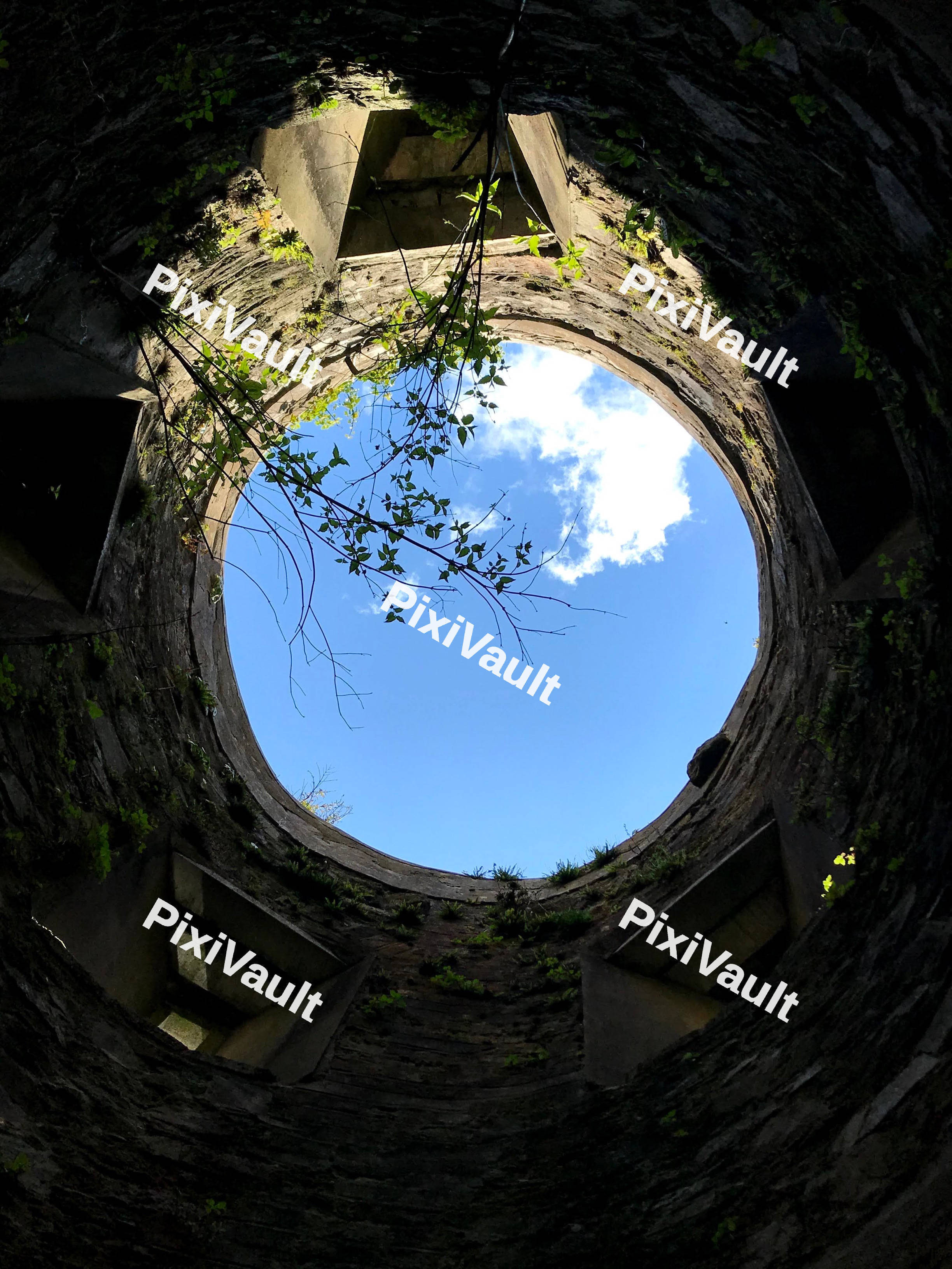 Up Shot VIew In A Hole